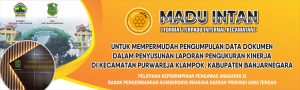 MADU INTAN
